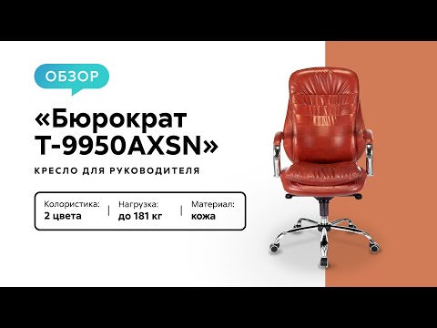Обзор компьютерного кресла T-9950AXSN