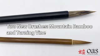 Demonstrating Two New Brushes: Mountain Bamboo and Turning Vine Along with Reference Core Brushes