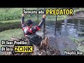 When ZONK was calculated, it turned out that the contents were PREDATOR || Grinder trap.