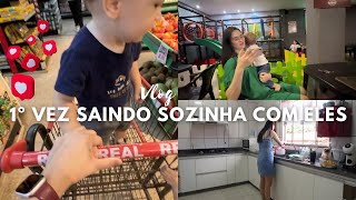 PRECISAVA IR NO MERCADO E ESTAVA SOZINHA! LEVEI OS DOIS, VEM VER COMO ME SAI! CUIDANDO DO LAR!