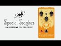 Special Cranker All Discrete Analog Distortion Enhancement Device Demo "An Overdrive You Can Trust"