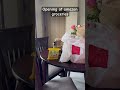 Unboxing amazon groceries|| scezwan chutney|| chings sauce|| amazon groceries shopping online #viral