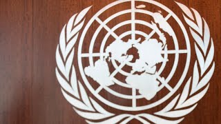 Stranded Australian takes case to the United Nations screenshot 2