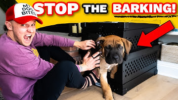 Puppy Training- Why I ALMOST Gave Up Crate Training My Puppy!- Puppy Training Guide