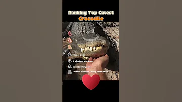 Ranking Cutest Crocodile Ever Funny Amazing Moments Random Wow Cute 