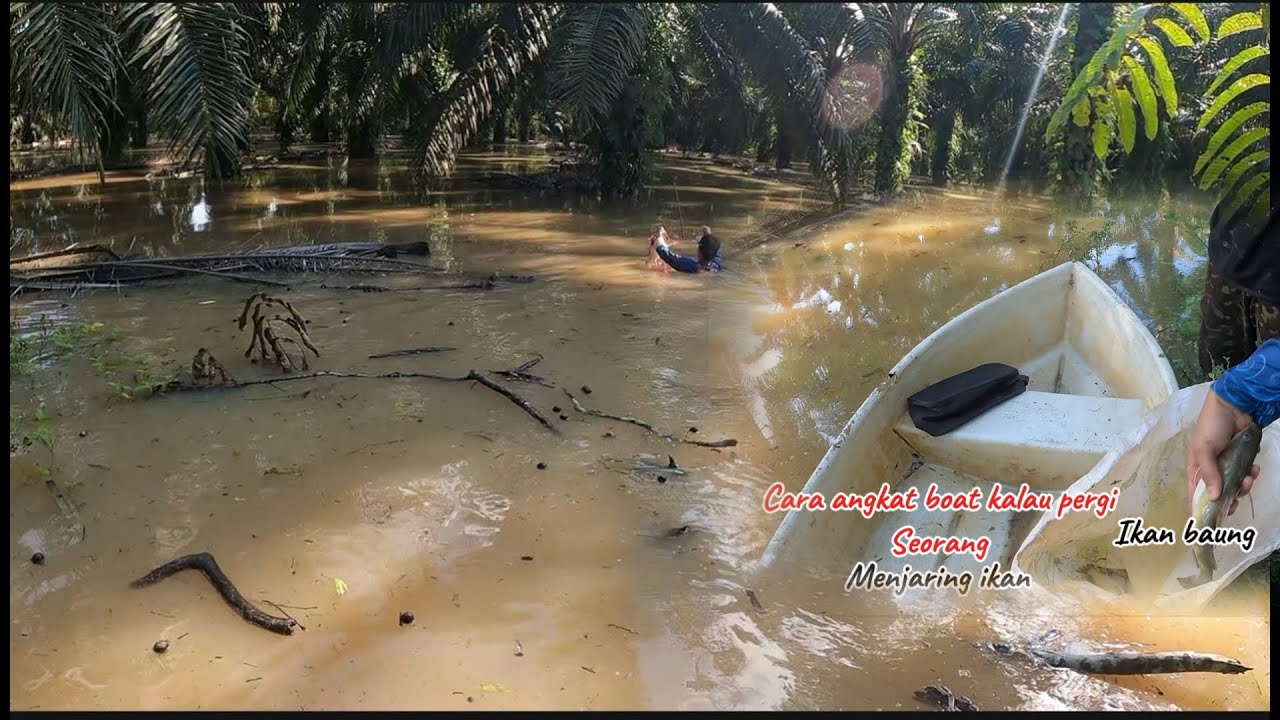 Menjaring ikan musim banjir‼️Macam nak beli boat la