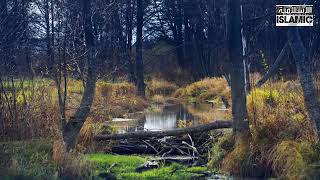 سورة الانعام تلاوة الشيخ محمد حسين عامر مع اجمل المناظر الطبيعيه