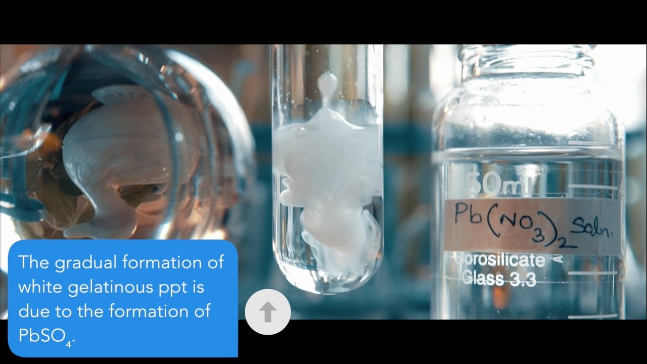 What happens when aluminum sulfate (Al2(SO4)3) react with lead nitrate