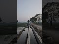 Evening Sound! #evening #villagerlifestyle #farmer #farming #trending #youtubeshorts