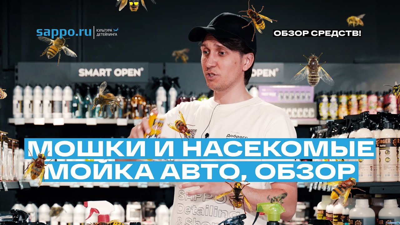ЧЕМ ОТМЫТЬ МОШЕК С МАШИНЫ ? Чем убрать насекомых с лобового стекла авто ...