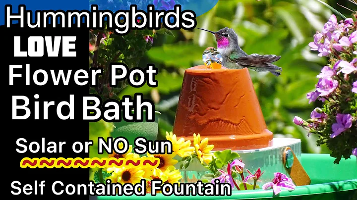 Hummingbirds Birdbath How to Make $1 Flower Pot into EASY Hummingbird Solar Fountain or No Sun USB