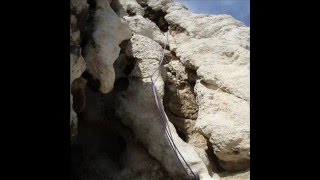 Calanques 2008