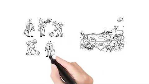 Conceptual Understanding and Learning Transfer
