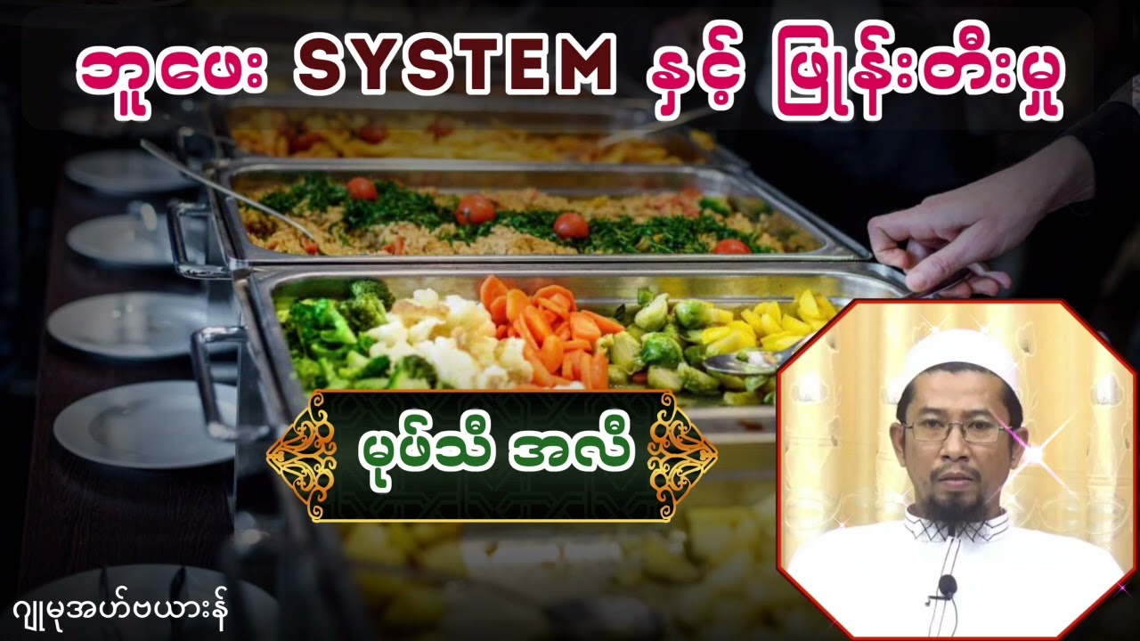ဘူဖေး system နှင့် ဖြုန်းတီးမှု
