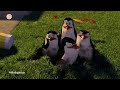 [R] Fragmento de "Madagascar (2005)" en su Retransmisión | América TV (Perú 🇵🇪) (25/04/2026)