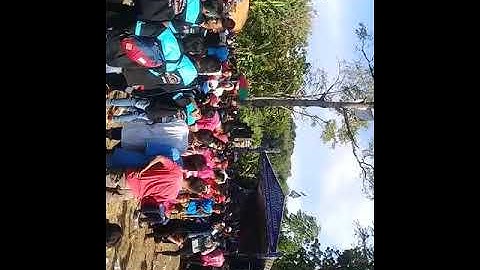 awet muda new palapa