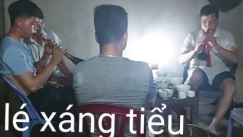 Nhạc cụ dân tộc. Thổi kèn Văn hóa. người giáy TRÌNH TƯỜNG, lé xáng tiểu xiếng rán, TTBXLC. X (324)