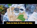 Café de Raiz de diente de León