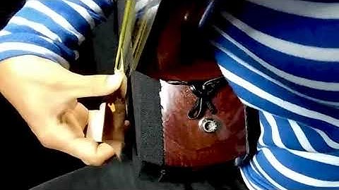 Shamisen technique | oshibachi | quick demonstration