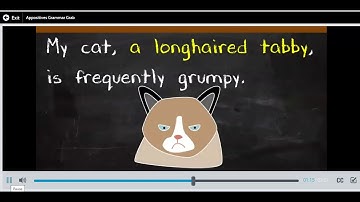 Appositives Grammar Grab