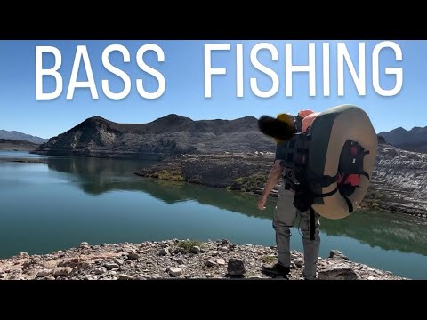 Float tube bass fishing #bassfishing #floattube #fishing