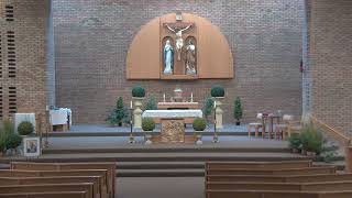 June 14, 2026--9:00 am Mass--11th Sunday in Ordinary Time