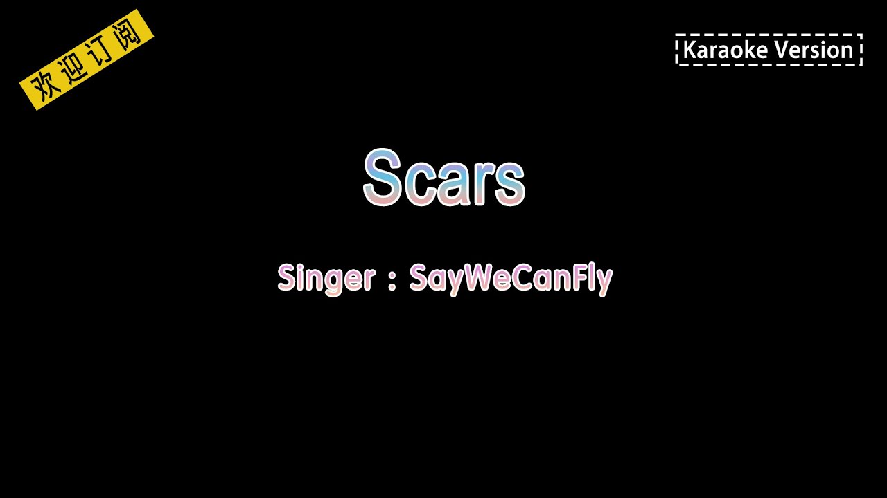 SayWeCanFlyScars (Karaoke lyrics Version) YouTube