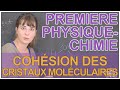 Cohésion des cristaux moléculaires - Physique-Chimie 1ère S - Les Bons Profs