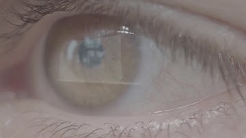 BIM in Landscape Architecture