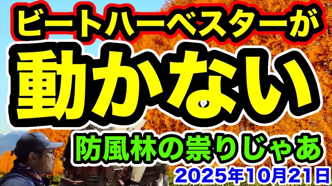 防風林の祟りじゃあ！【ハーベスターが動かない】2025年10月21日