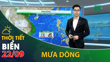 Thời tiết biển ngày 22/09/2021:Khu vực vịnh Bắc Bộ có mưa rào và dông| VTC14