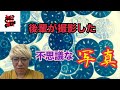 アンティーク時計に写った不思議な写真