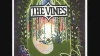 The Vines - Mary Jane chords