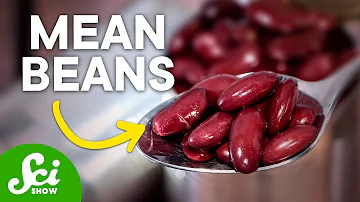 Are borlotti beans good for you?