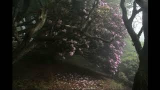 Every word (demo) - Ivan Castro (slowed)