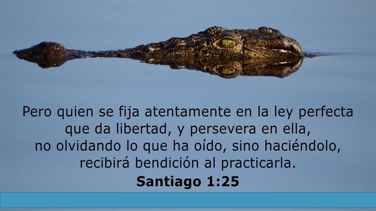 OYE, LEE Y PON EN PRÁCTICA LA PALABRA DE DIOS - YouTube