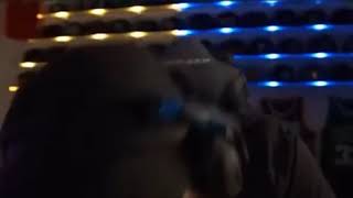 Montanablack Seine Lache