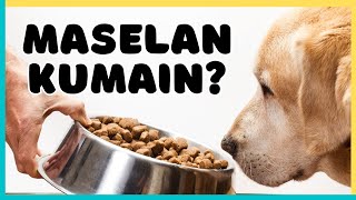 12 TIPS sa PICKY EATER na ASO | DOG Care | Munting Kennel