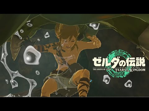 喰われるリンクをただ眺める動画【ゼルダの伝説 ティアーズ オブ ザ キングダム】