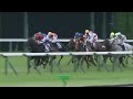 2024 Yasuda Kinen- Romantic Warrior