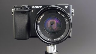 Yashica ML 50mm f1.9 Adapted to the Sony A6000