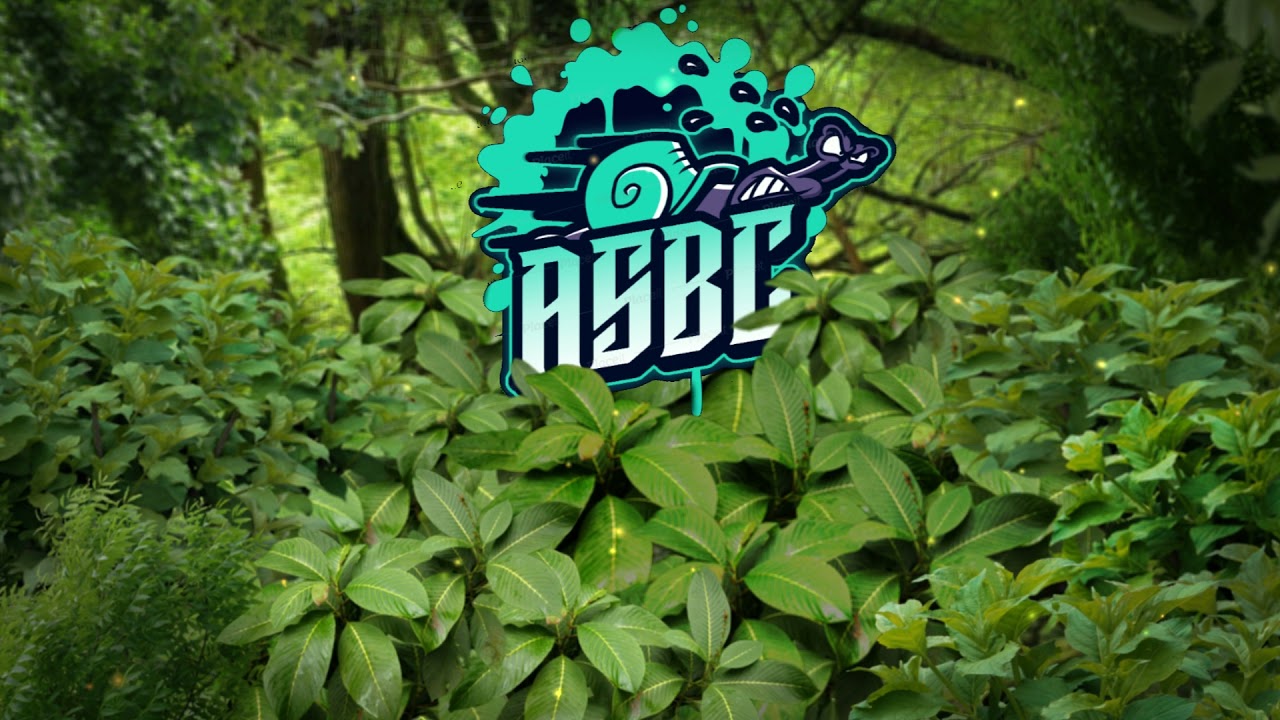 asbc jungle intro test