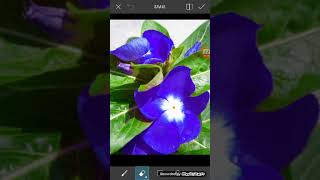 Colour Change in Picsart App 2019|Photo Editing screenshot 5