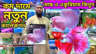 Aquarium fish price in Bangladesh | Aquarium price in Bangladesh | Katabon Animal market in Dhaka