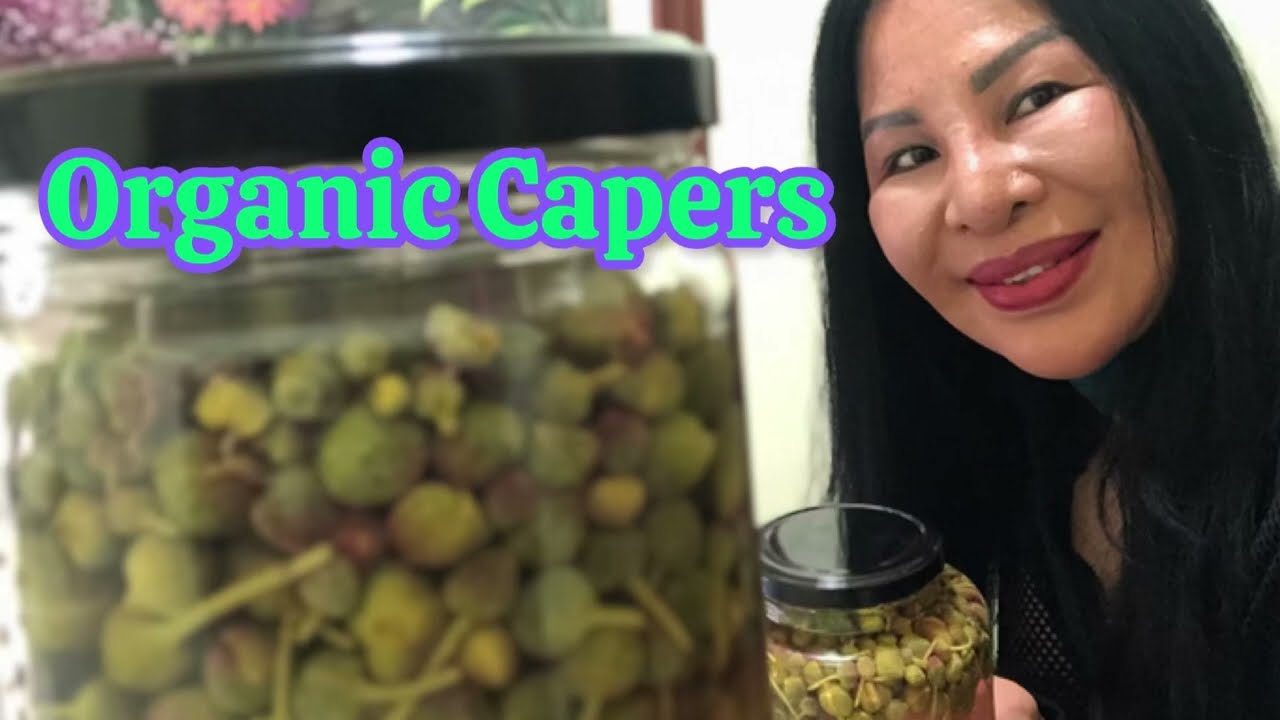 Let's Preserve These Wild Capers I  Simple Techniques for Storing & Pickling
