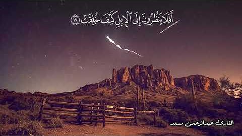 تلاوه عذبه _ ( افلا ينظرون الى الابل كيف خلقت) مقاطع دينيه  انستقرام وايمو ايات قرانيه قصيره