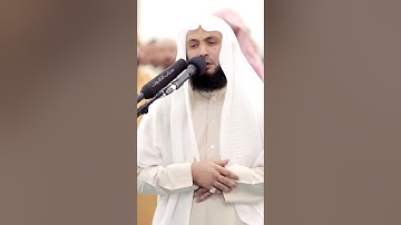 تلاوة تخشع القلوب من جمالها | القارئ عادل ريان | محراب التلاوات والعلم
