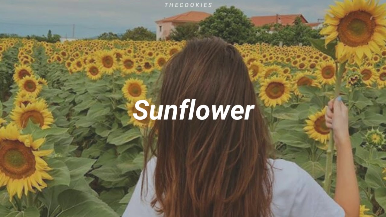 Sunflower • Post Malone & Swae Lee (Letra en español) YouTube