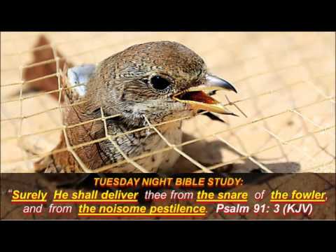 Tuesday Bible Study: Psalm 91:3 - YouTube