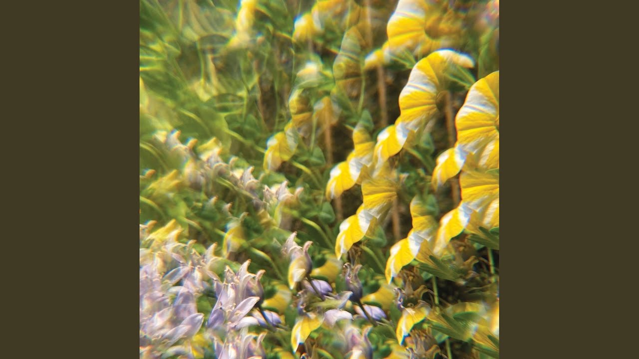 chalked-outlines-of-a-polybius-square-youtube